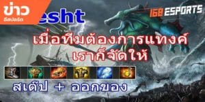 เทคนิคการเล่น