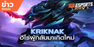 เทคนิคการเล่น