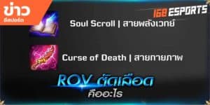 เทคนิคการเล่น